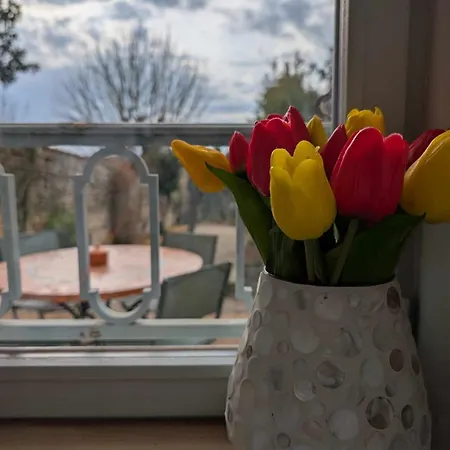 Le Jardin De Frida By Cozylife - Coeur De * Niort